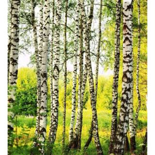 👉 Fotobehang vlies multikleur Dimex Birch Forest 225x250cm 3-banen 8592900120947