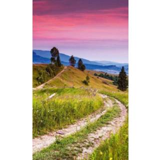Fotobehang vlies multikleur Dimex Blooming Hills 150x250cm 2-banen 8592900130342