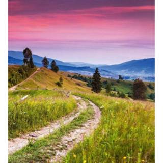 👉 Fotobehang vlies multikleur Dimex Blooming Hills 225x250cm 3-banen 8592900120619
