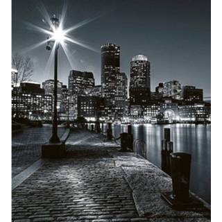 👉 Fotobehang vlies multikleur Dimex Boston 225x250cm 3-banen 8592900120169