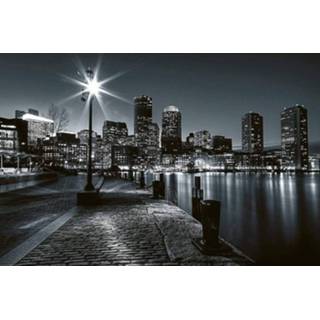 👉 Fotobehang vlies multikleur Dimex Boston 375x250cm 5-banen 8592900110160