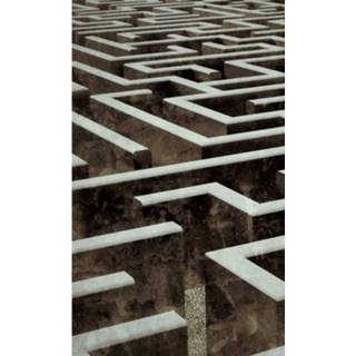 👉 Fotobehang vlies multikleur Dimex Labyrinth 150x250cm 2-banen 8592900132018