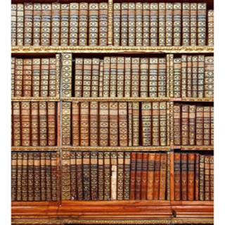 👉 Fotobehang vlies multikleur Dimex Library 225x250cm 3-banen 8592900122613