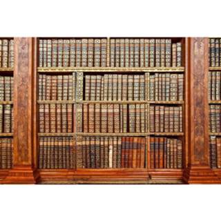 👉 Fotobehang vlies multikleur Dimex Library 375x250cm 5-banen 8592900112607