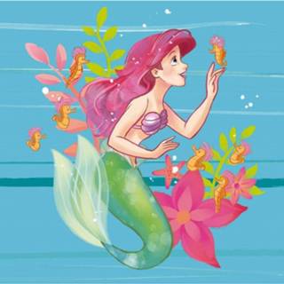 👉 Fotobehang vlies multikleur Komar Ariel Little Friends 250x250cm 5-banen 4055065410093