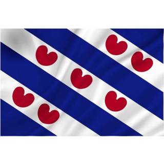 👉 Vlag One Size meerkleurig Friesland decoratie pakket met 2 Friese vlaggen en 6 vlaggenlijnen - Elfstedentoch/ versiering 8720147523744