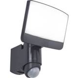 👉 Bewegings melder male zwart Lutec spot Sunshine + bewegingsmelder 12W 6939412046600