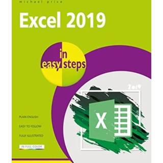 👉 Engels Excel 2019 in easy steps 9781840788211