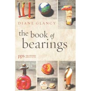 👉 Bearing engels The Book of Bearings 9781532672156