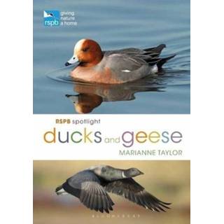 👉 Spotlight engels RSPB Ducks and Geese 9781472971647