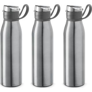 👉 Waterfles aluminium zilver 3x Stuks waterfles/drinkfles met klepdop en handvat 650 ml