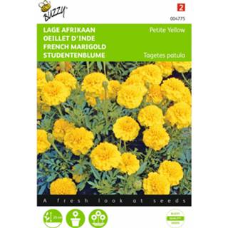 👉 Geel One Size GeenKleur jongens 2 stuks Tagetes patula nana Yellow Boy 8719269076870