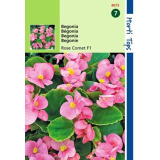 👉 Begonia rose One Size GeenKleur 2 stuks Semp. F1 Hybride Komeet 8719269080624