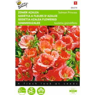 👉 Zalmkleurig One Size GeenKleur 2 stuks Godetia Whitney Salmon Princess 8719269076351