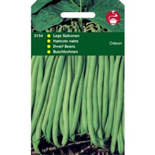 Stamslaboon One Size GeenKleur 5 stuks Stamslabonen Odeon 8719269371630