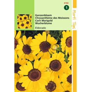 👉 Geel One Size GeenKleur 2 stuks Chrysanthemum Segetum Eldorado 8719269080969