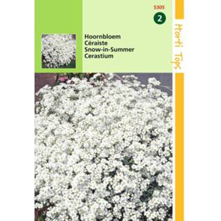 👉 One Size GeenKleur 2 stuks Cerastium Biebersteinii 8719269083090