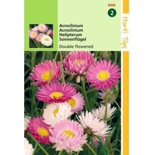 👉 One Size GeenKleur 2 stuks Acroclinium Helipterum Roseum Dubbelbl. Gemengd 8719269080426