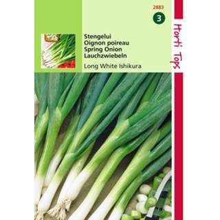 👉 Stengel One Size GeenKleur 2 stuks Ui Ishikura Allium Fistulosum 8719269080105