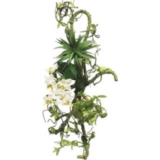 👉 Active Kunst-Dekoration Vanda-Orchidee Weiß 55 cm