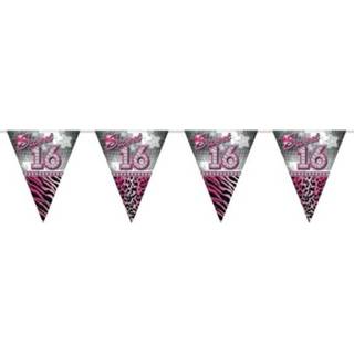 👉 Vlaggenlijn One Size meerkleurig 3x stuks leeftijd vlaggenlijnen sweet 16 van 10 meter 8719538741980