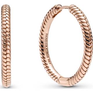 👉 Oorring rose zilver One Size rosekleurig Pandora 289532C00 Oorringen Snake Chain 25 mm 5700302938791