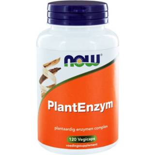 👉 Active NOW Plantenzym 120 stuks 733739102379