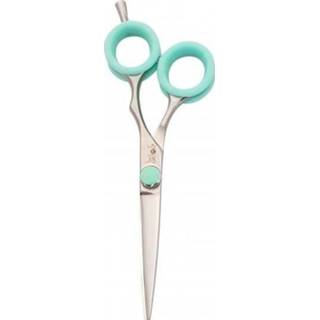 👉 Scheermesje Rainbow Razor Schaar recht 5,5