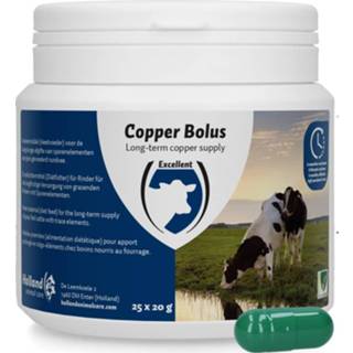 👉 Bolus Copper 8716759003194