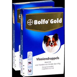 👉 Bolfo Gold 40 hond 4 kilo 2 pip 4007221007487