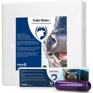 👉 Bolus Fosfor Bolus+ 8716759578050