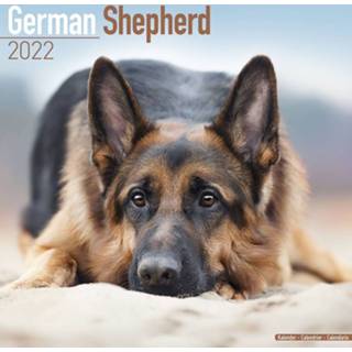 👉 Kalender 2022 Duitse Herder