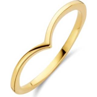👉 Geelgouden Ring 4023427 16.50 mm (52)