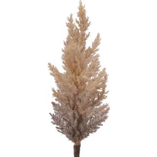 👉 Bruin PVC One Size Pluim pampas l13b8h88 cm 8720093949872