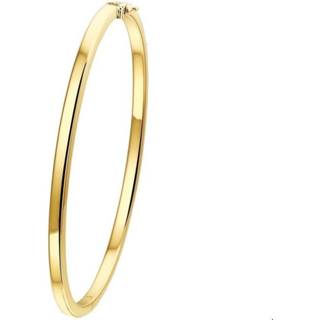 👉 Geelgouden Bangle scharnier vlakke buis 3 x 56 mm 4020573