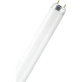 👉 OSRAM TL-lamp Energielabel: A (A++ - E) G13 36 W N/A Buis (Ø x l) 26 mm x 1200 mm 1 stuk(s)