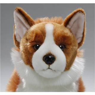 👉 Knuffel bruin witte pluche One Size meerkleurig kinderen bruin/witte Corgi hond 35 cm - Honden huisdieren knuffels Speelgoed voor 8720147750324