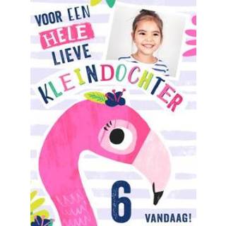 👉 Verjaardagskaart flamingo Greetz | Leeftijd met