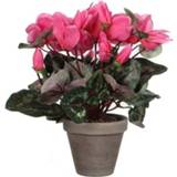 👉 Kunstplant roze cyclaam grijze kunststof active plantp kunstplanten 30 cm in pot