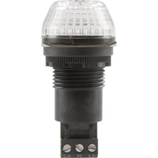 👉 Auer Signalgeräte Signaallamp LED IBS 800504405 Helder Helder Continulicht, Knipperlicht 24 V/DC, 24 V/AC