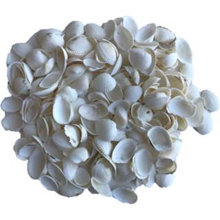 👉 Wit parelmoer Decoratie hobby schelpen parelmoer/wit 250 gram