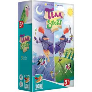 👉 Kaartspel nederlands bordspellen Team Story 3760175517792