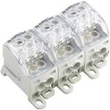 👉 Faseverdelerblok Weidmüller WPD 304 3X25/6X16+9X10 3XGY 1562160000 Grijs, Transparant 1 stuk(s)