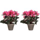 👉 Kunstplant roze cyclaam grijze kunststof active 2x kunstplanten 30 cm in pot