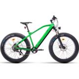 👉 Mountainbike active groen Elektrische Fatbike Falcon