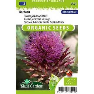 👉 Kardoen EKO - Cynara Cardunculus