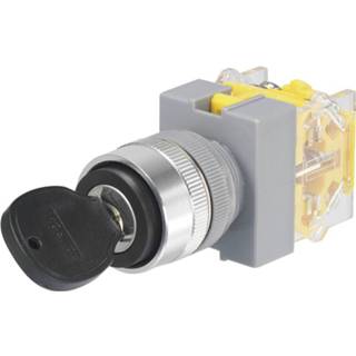 👉 TRU COMPONENTS Y090-A-20Y/31 Sleutelschakelaar 250 V/AC 5 A 1x aan/uit/aan 2 x 45 ° IP40 1 stuk(s)