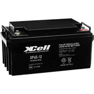 👉 Loodaccu XCell XP6512 12 V 65 Ah Loodvlies (AGM) (b x h d) 348 178 167 mm M6-schroefaansluiting Onderhoudsvrij, VDS-certificering 2050003638739