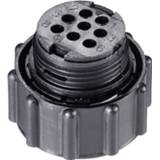 👉 TE Connectivity 206434-1 Ronde stekker Stekker, recht Serie (ronde connectors): CPC Totaal aantal polen: 8 1 stuk(s)