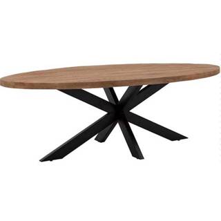 👉 Eettafel active Peru ovaal 240cm